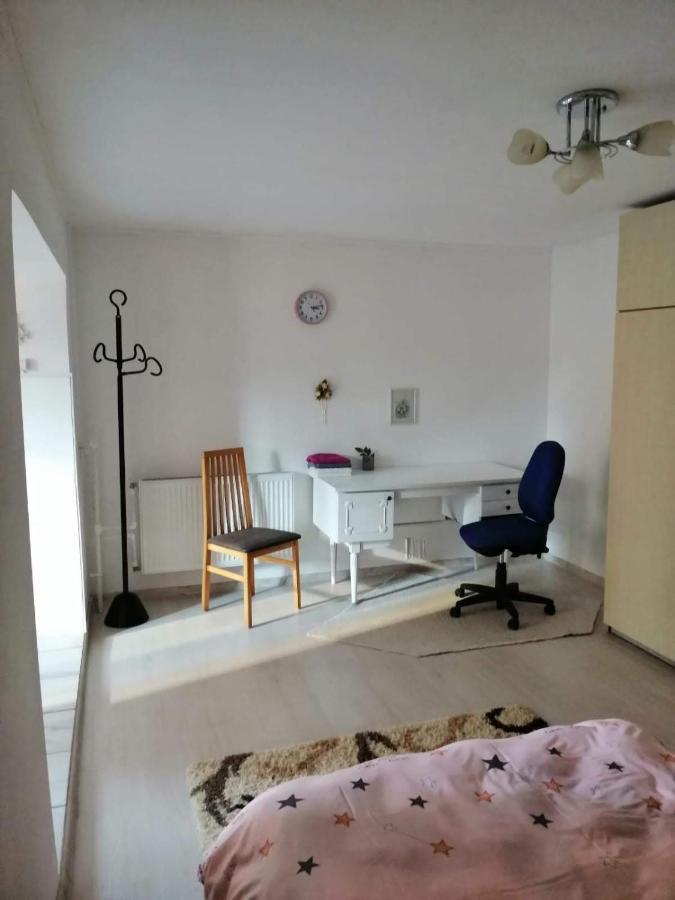 Moss'S Economy Apartment Temeşvar Dış mekan fotoğraf