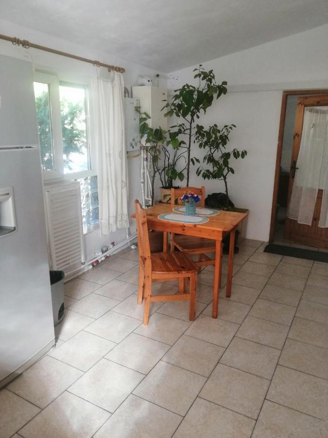 Moss'S Economy Apartment Temeşvar Dış mekan fotoğraf
